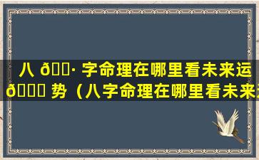 八 🌷 字命理在哪里看未来运 🍀 势（八字命理在哪里看未来运势如何）